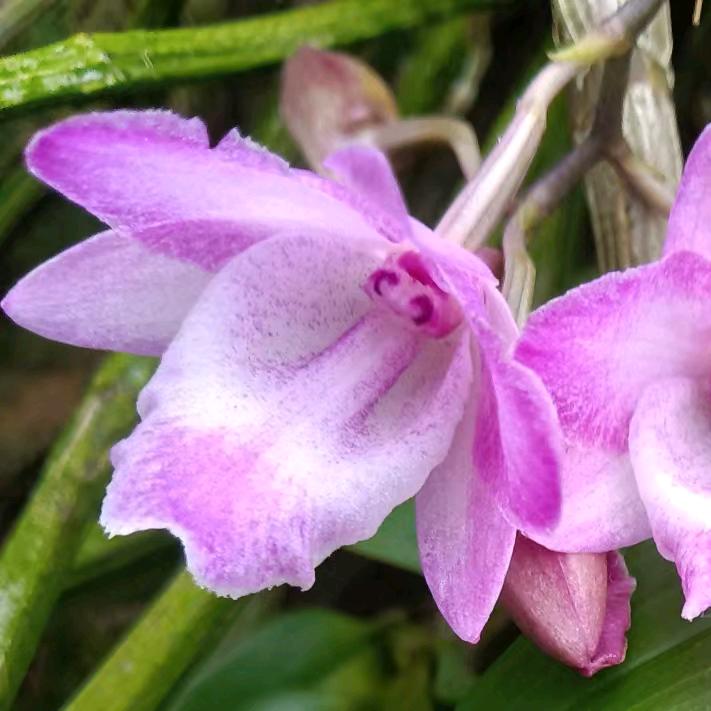 種哋亾 =͟͟͞͞🏀