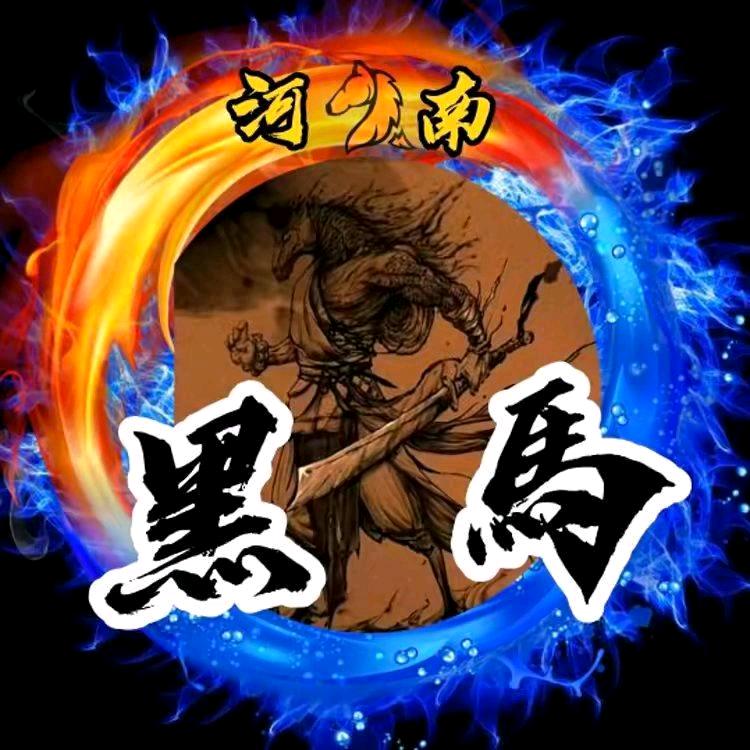 河南黑马