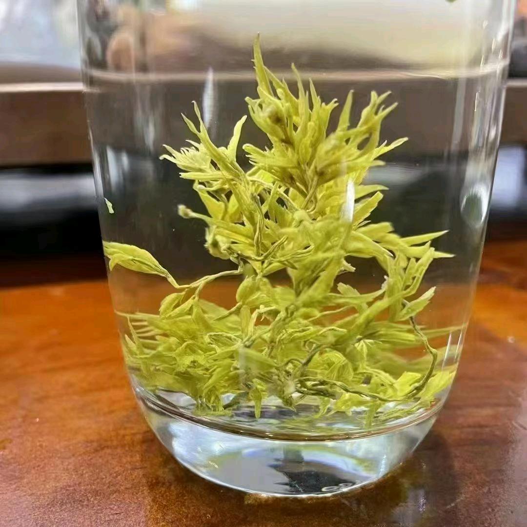 雪悦轩茶业