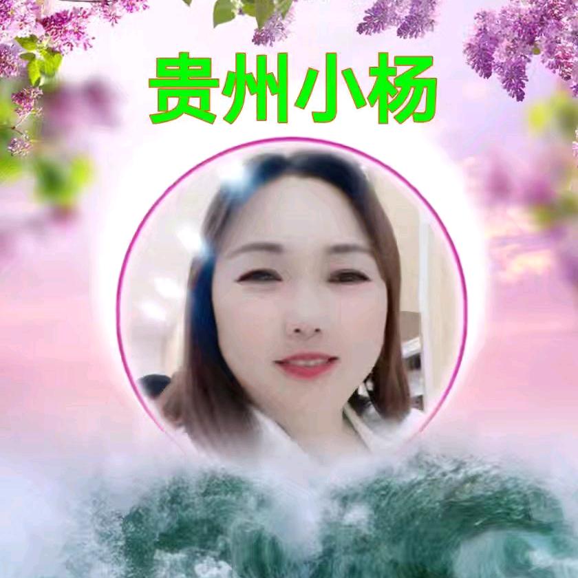 杨琴姐872152