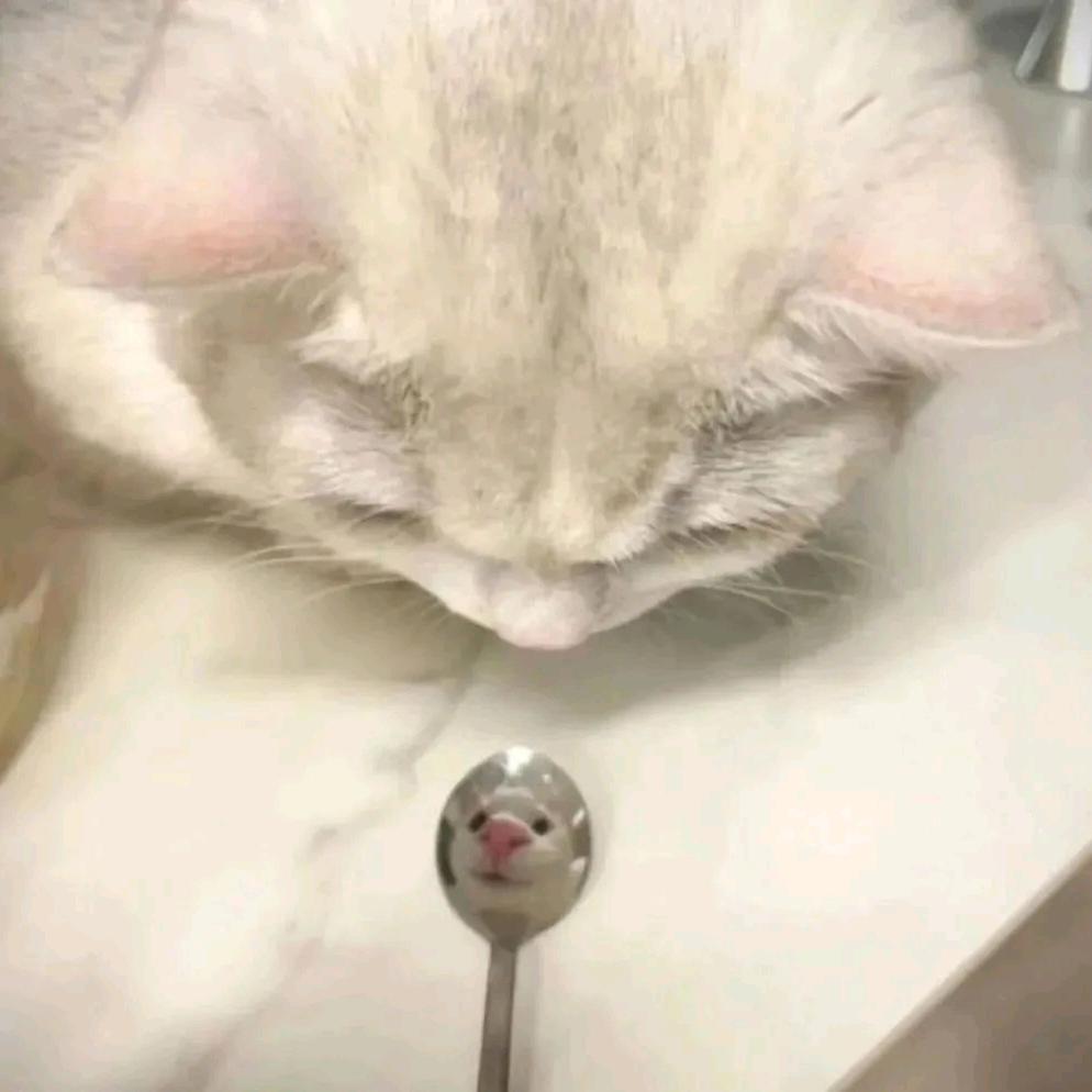 ＜3