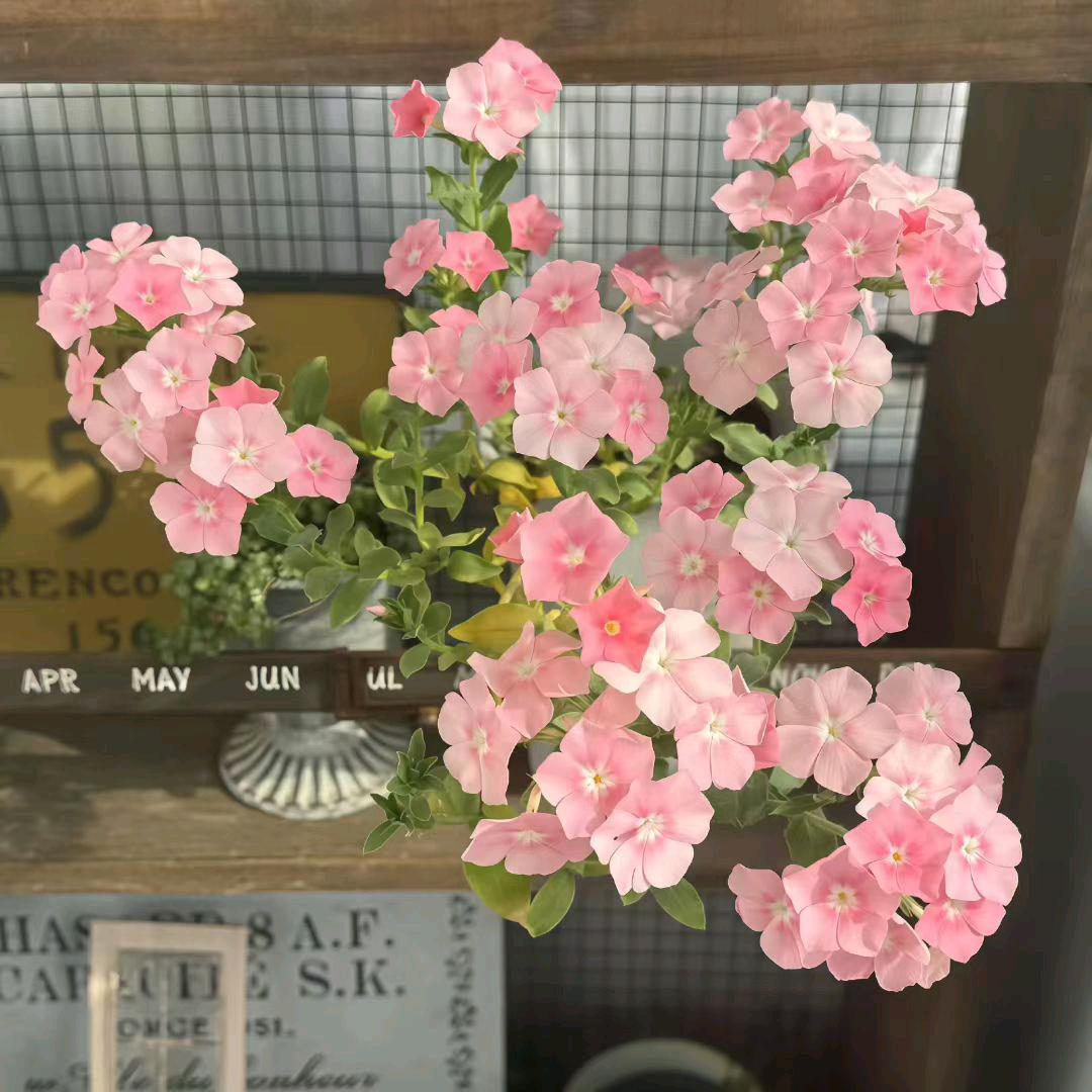 艺涵妈妈