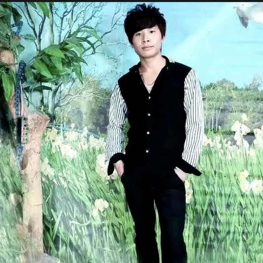 韦小武狗狗拉车