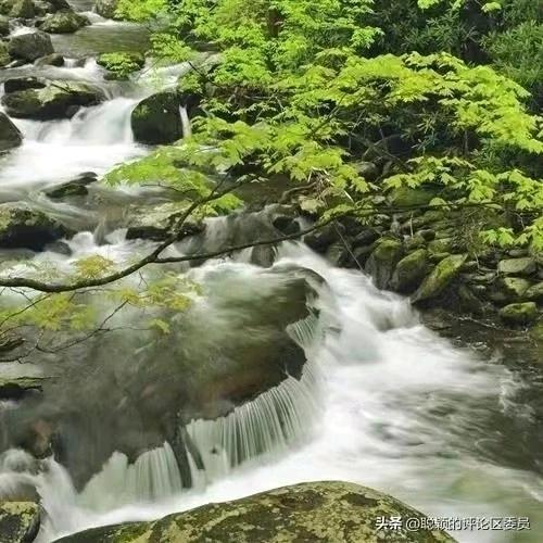 今生有你更幸福