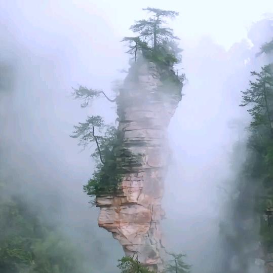 平淡。