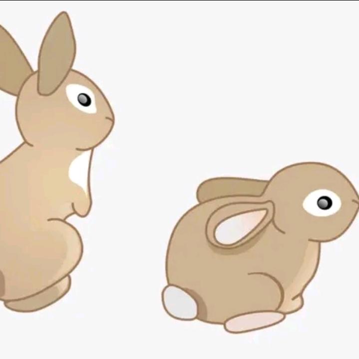 快乐的每一天