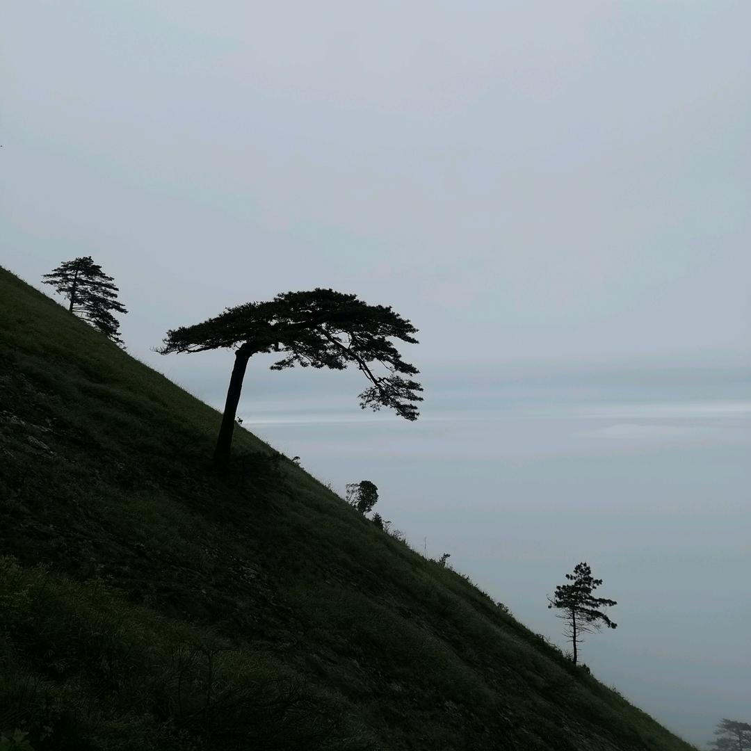 湖北中志华誉商务咨询有限公司