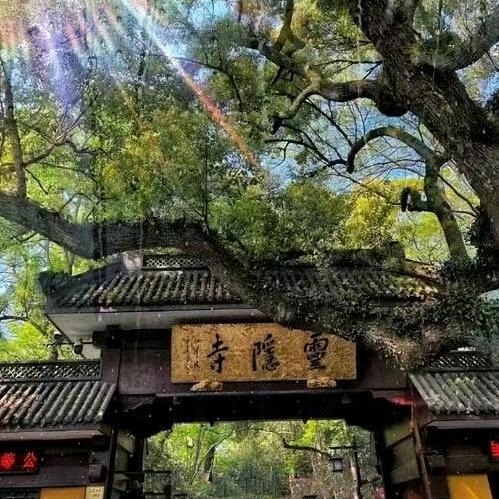 ꧔ꦿ℘᭄ᩚ【楊】🕊꧔ꦿ᭄『于』꧂