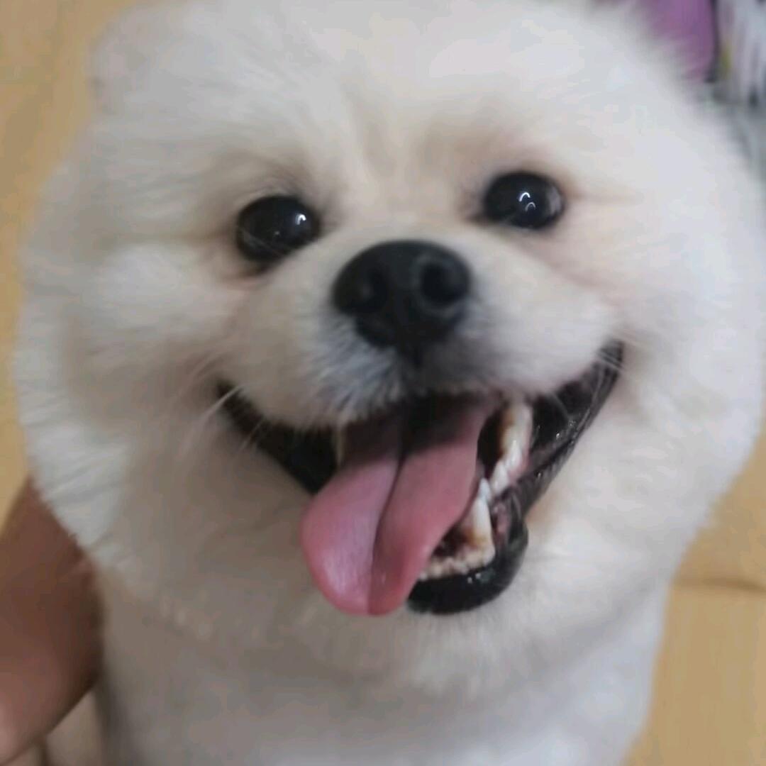 小美丽