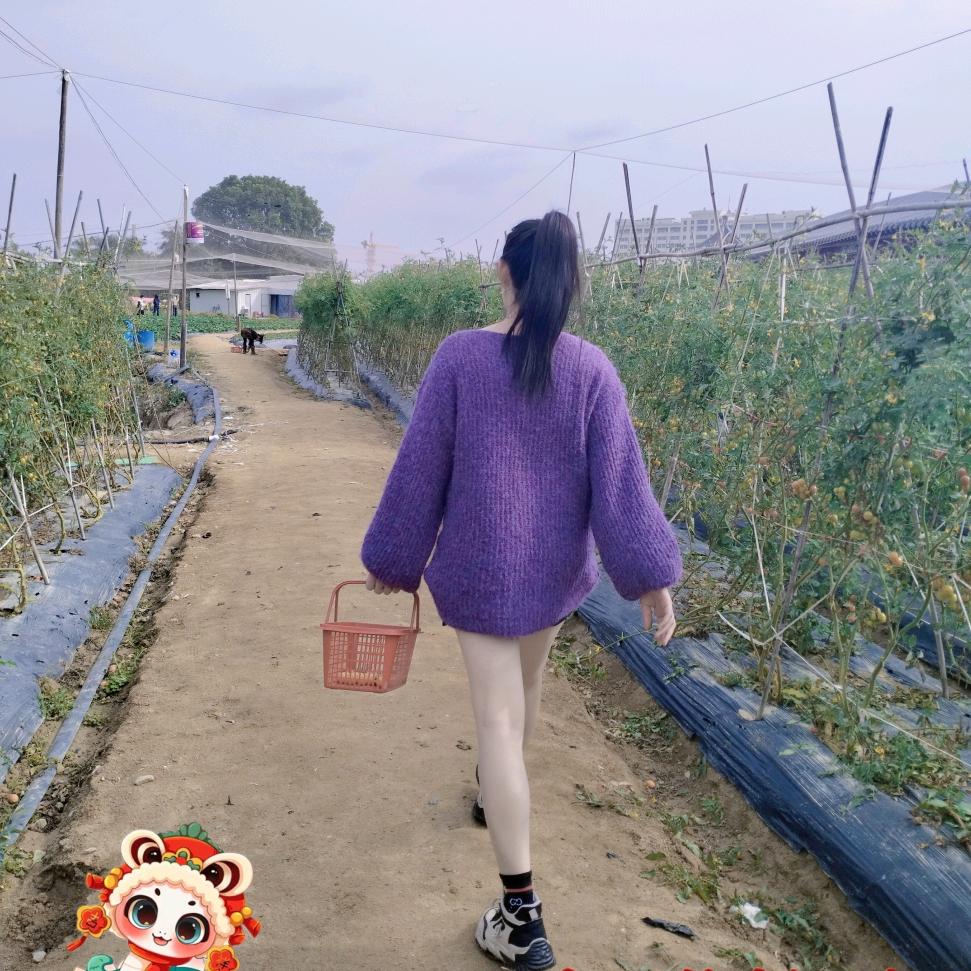 贞