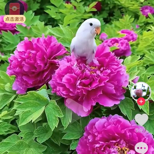 庆录