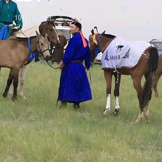 特古斯