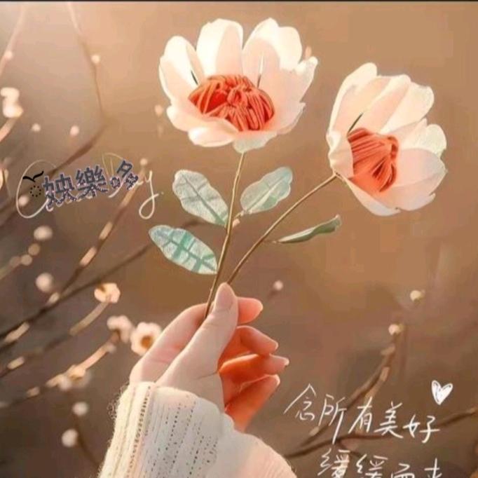 小鑫