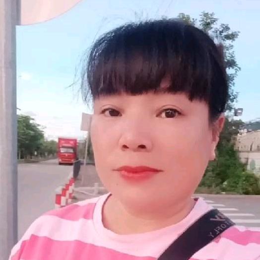 雨中彩虹