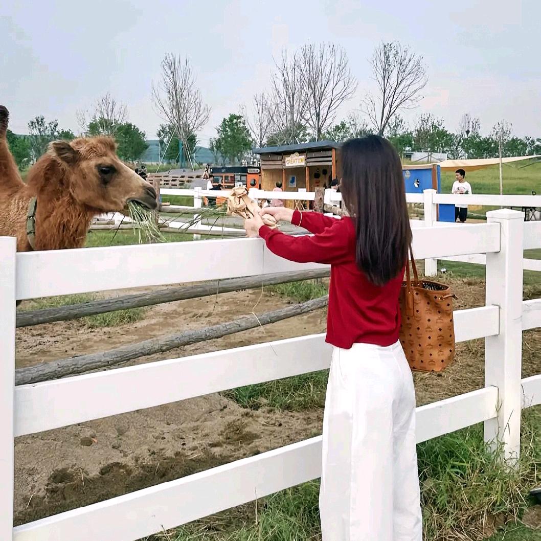 小琳子❤爱追剧