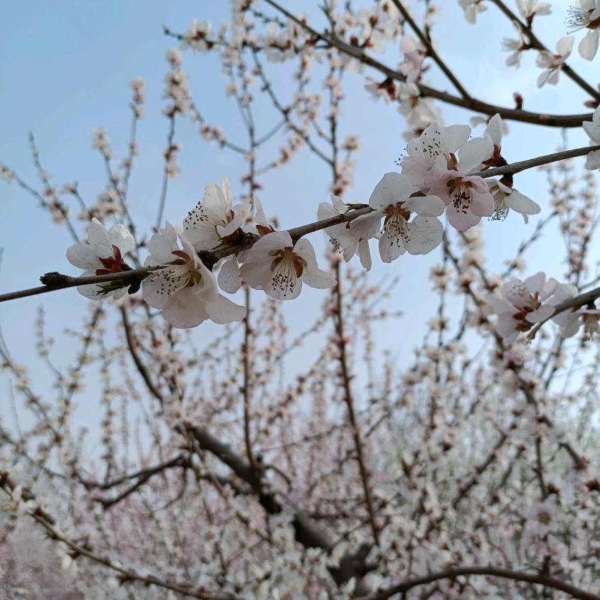 甯～誩