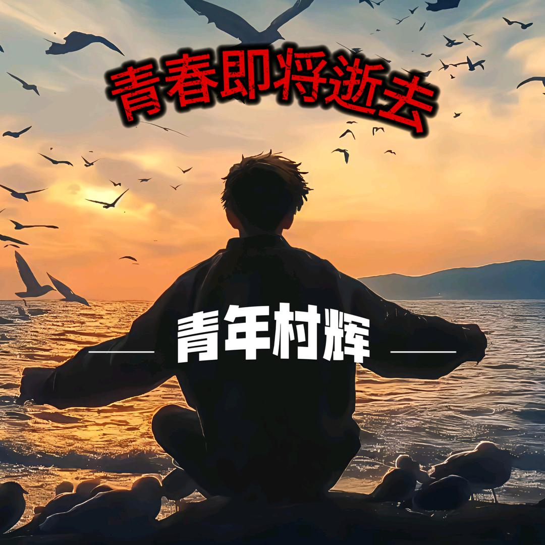 青年村辉