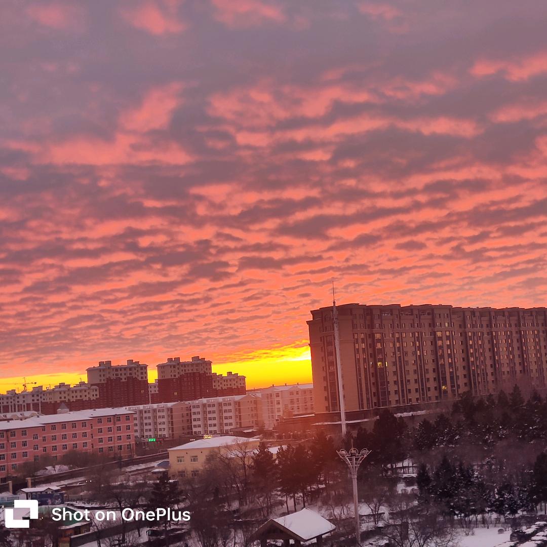 ꧁༺💝向👣北👣小👣梅💝༻꧂