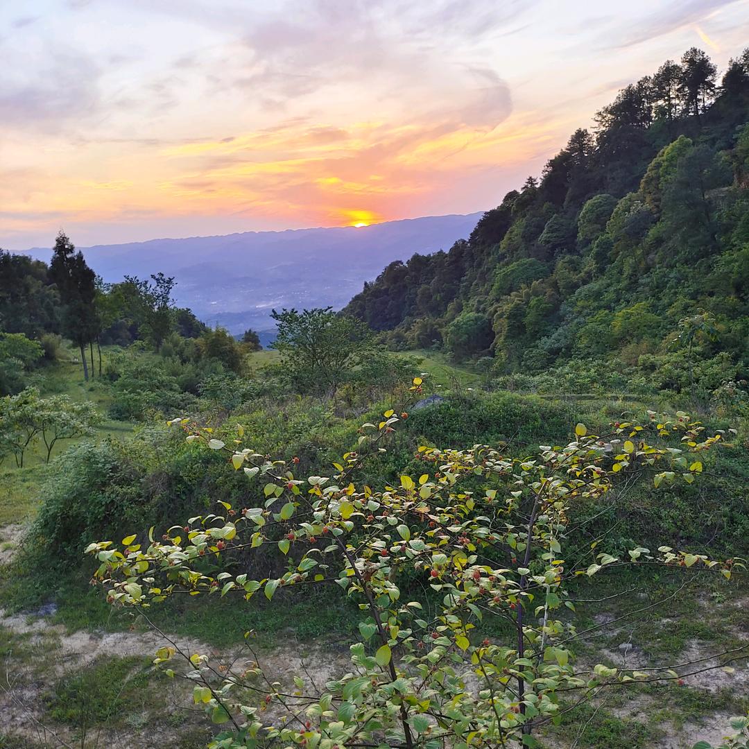 怡宝  （   互  ）