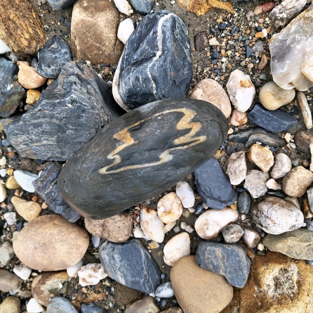 胡理糊涂己半生