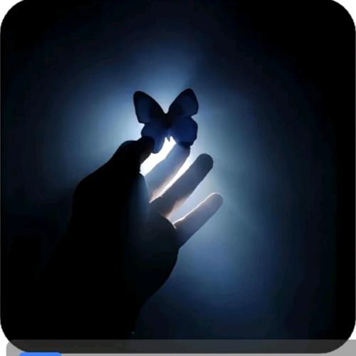 蓝蝶漫舞☞拒绝私聊