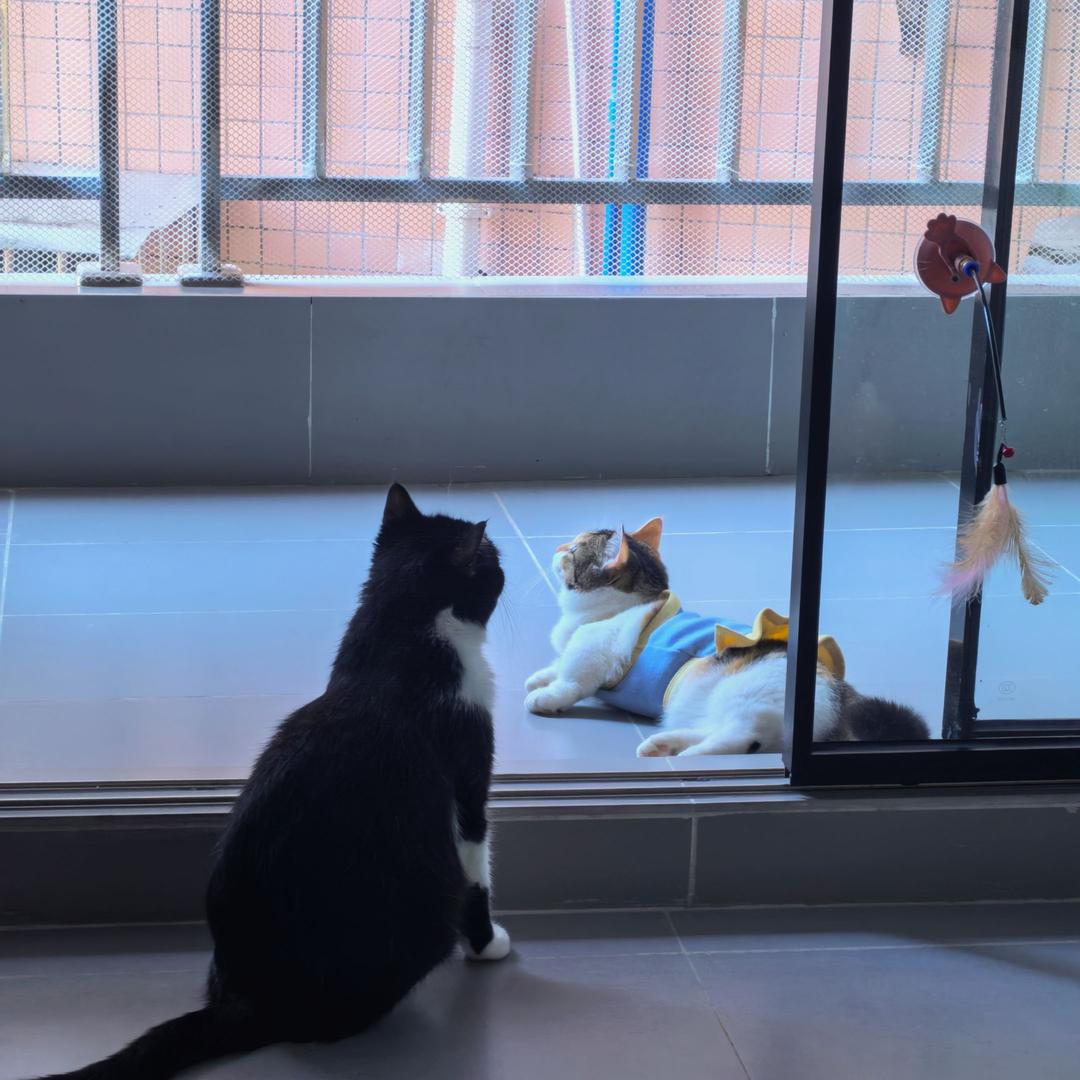 蜡笔小心眼儿