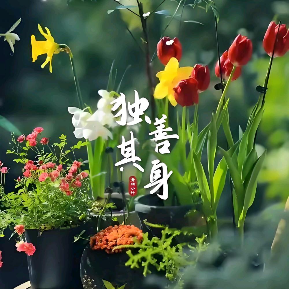 独善其身
