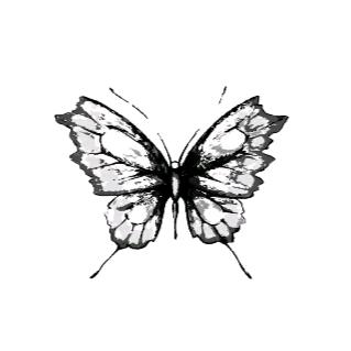 ▶  ||ı|ı||lııı 7″