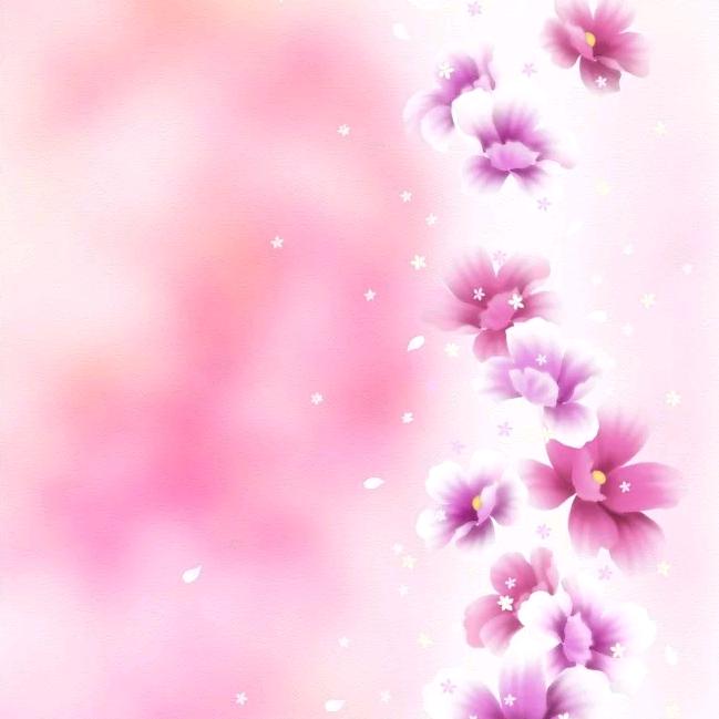 落花听雨