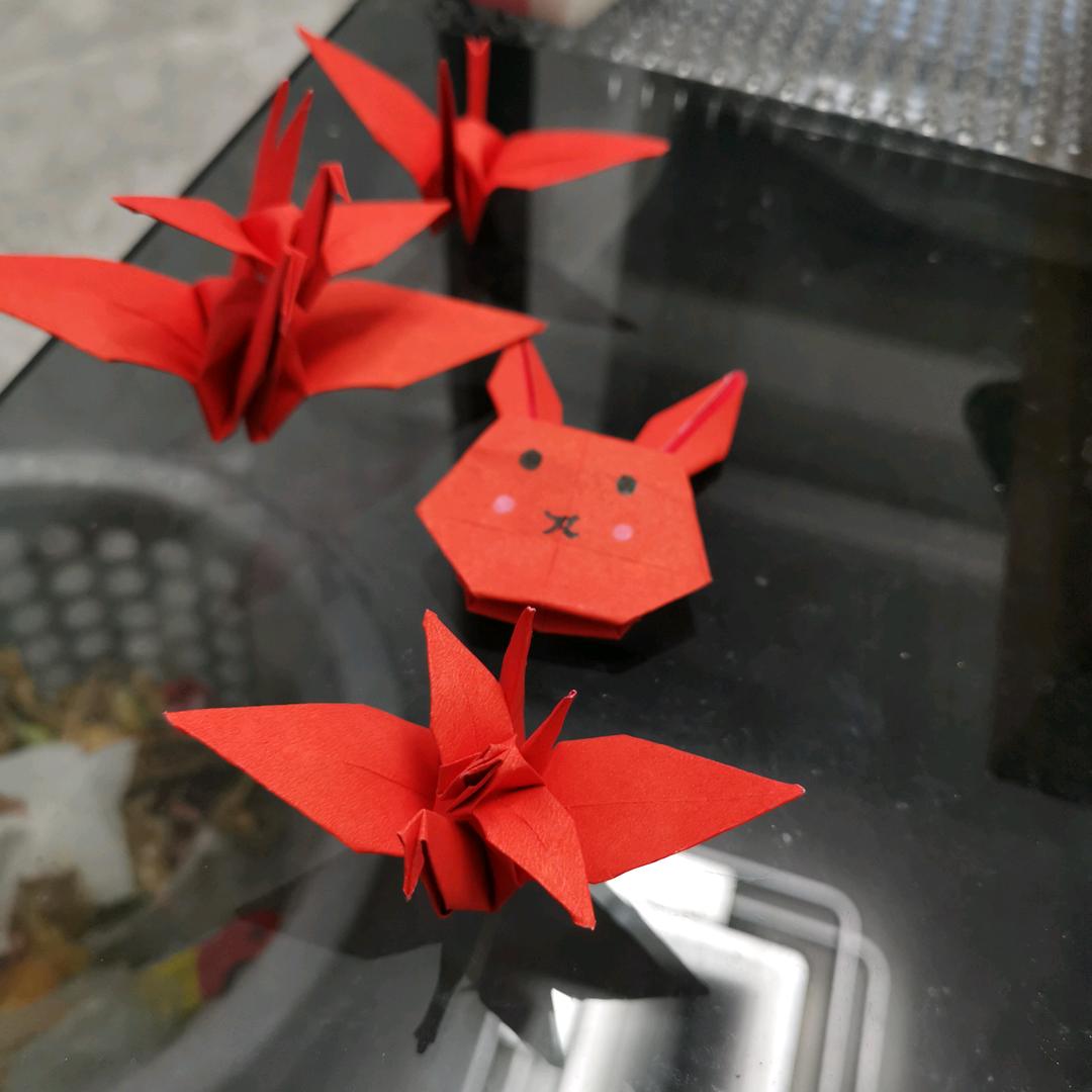 抱着小猫爬楼梯