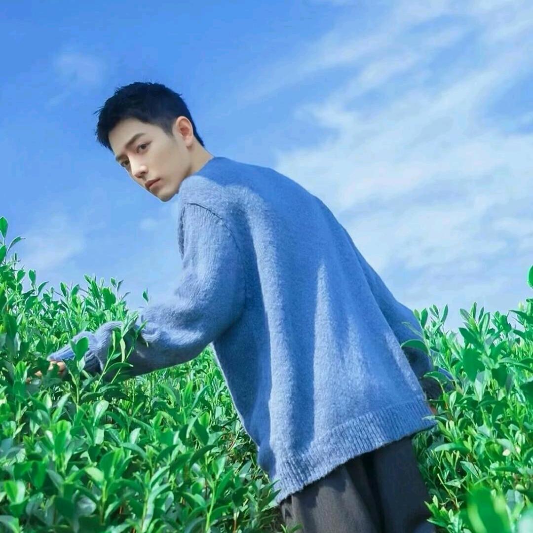 果粒陈ASZ