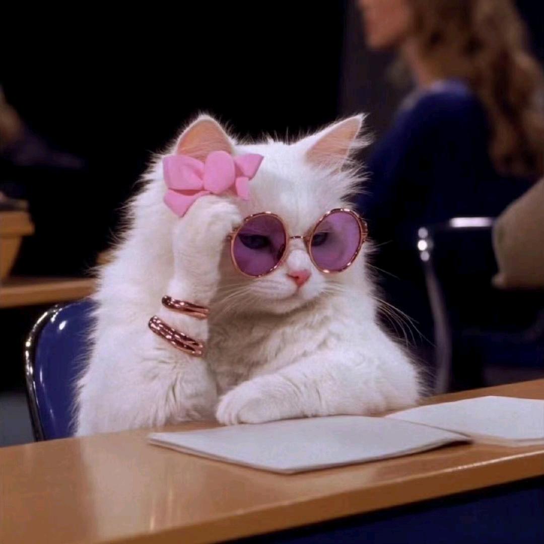 我是你的巡洋舰