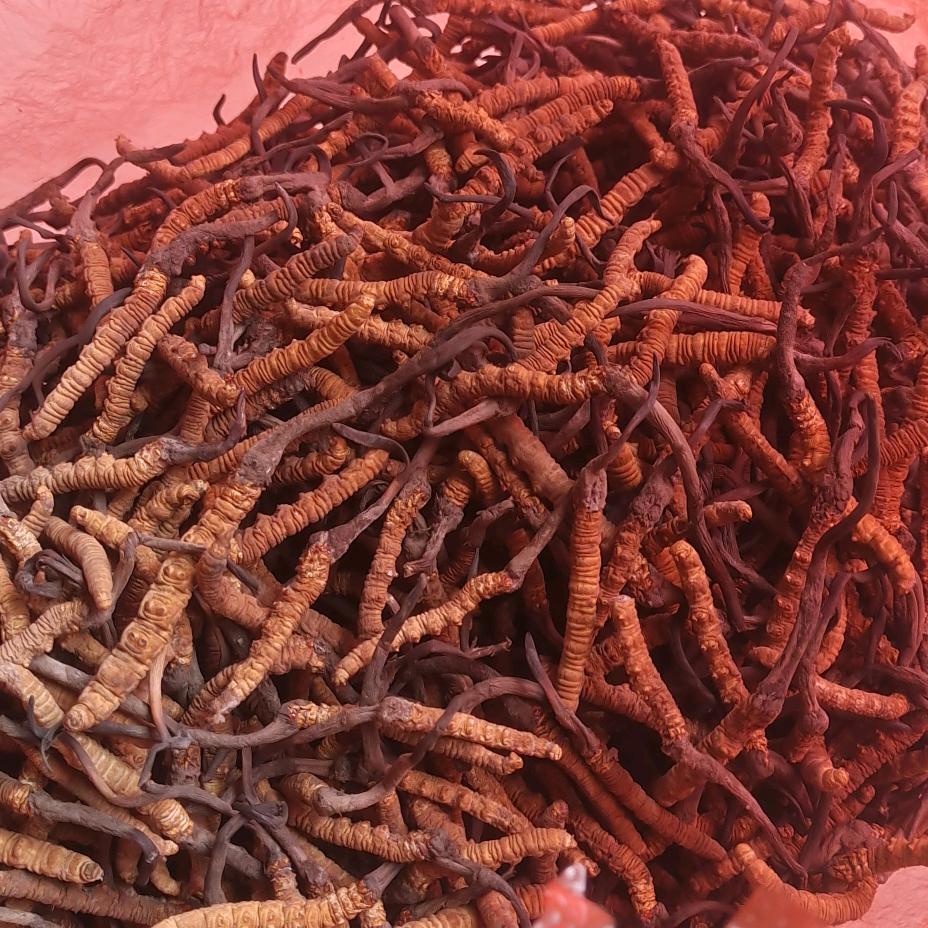 康巴扎西