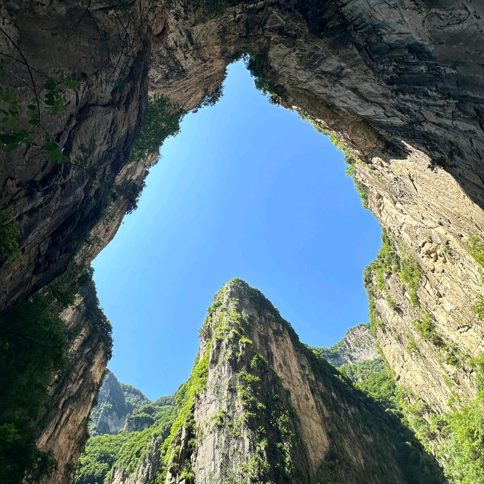 A飞哥