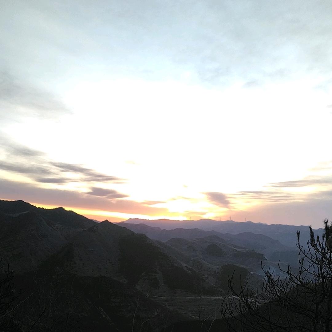 圣伯纯