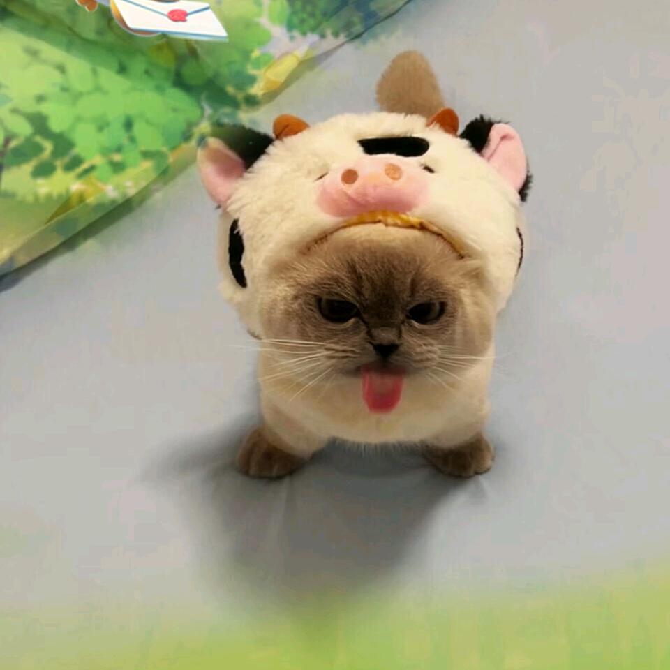 随缘