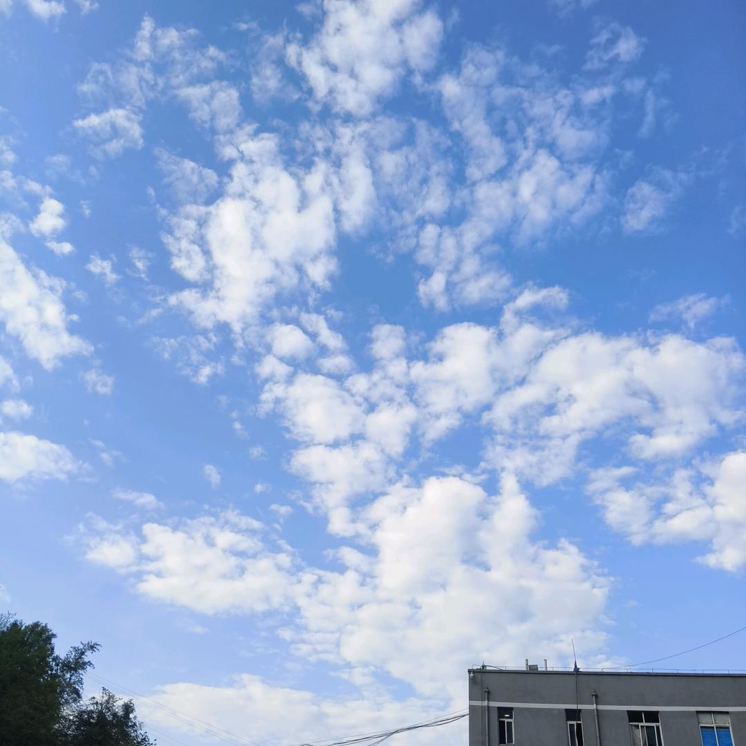 @刘老大【隐居大山】