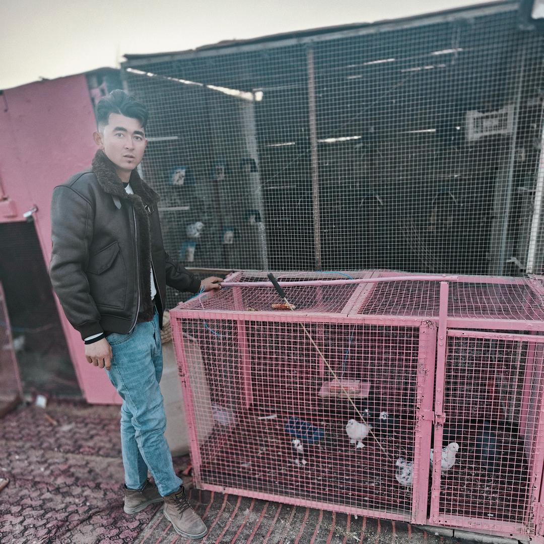 喀什疏勒县阿力木江 翻翻爱好者