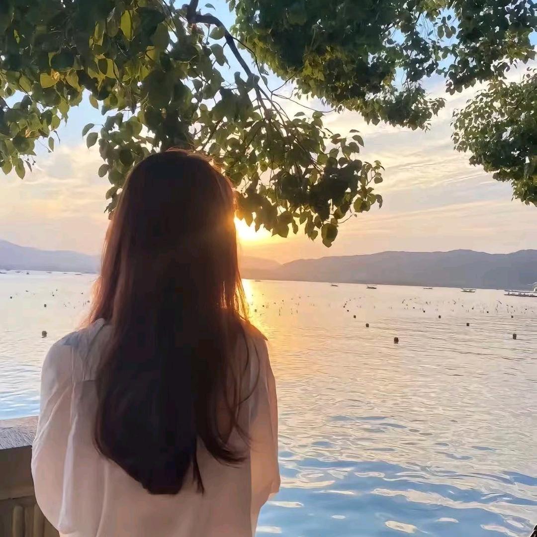 星海城～朱
