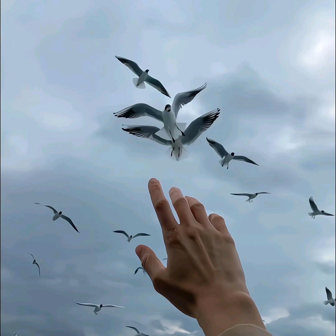 宋壹