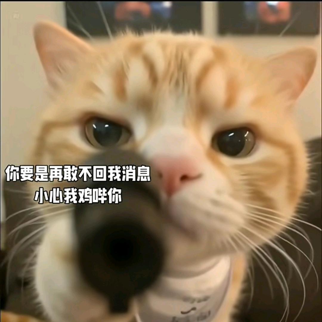 晚星同落