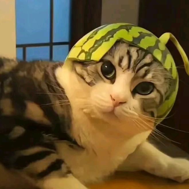 爱妃