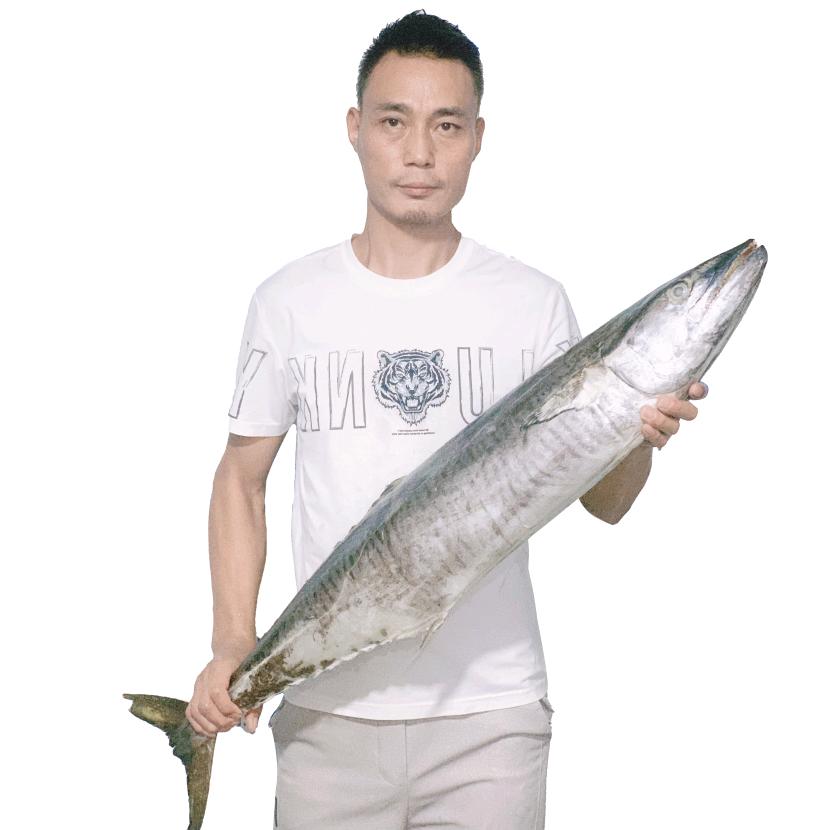 老范 东南亚水产供应链