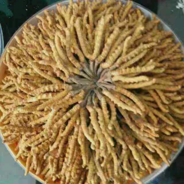 宁负天下不负你