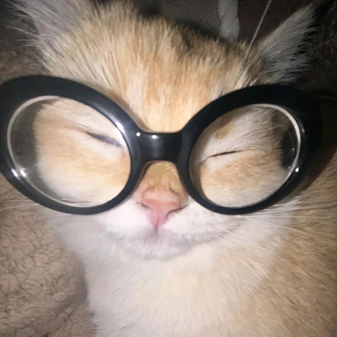 Ella说