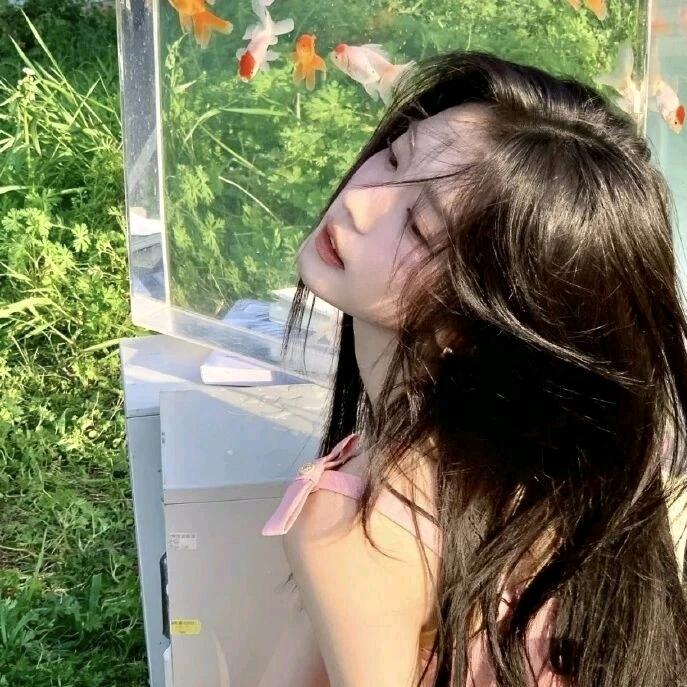呼噜噜噜