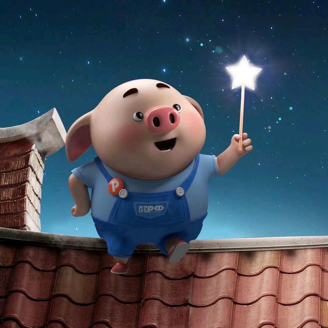 一个懂事年龄的不懂