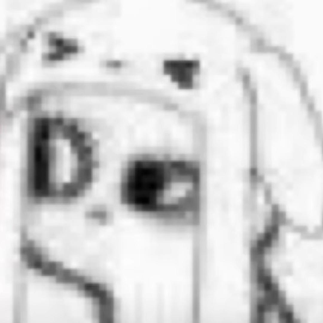 蛋蛋