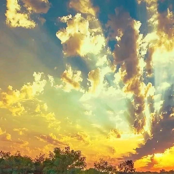 龙_173675007