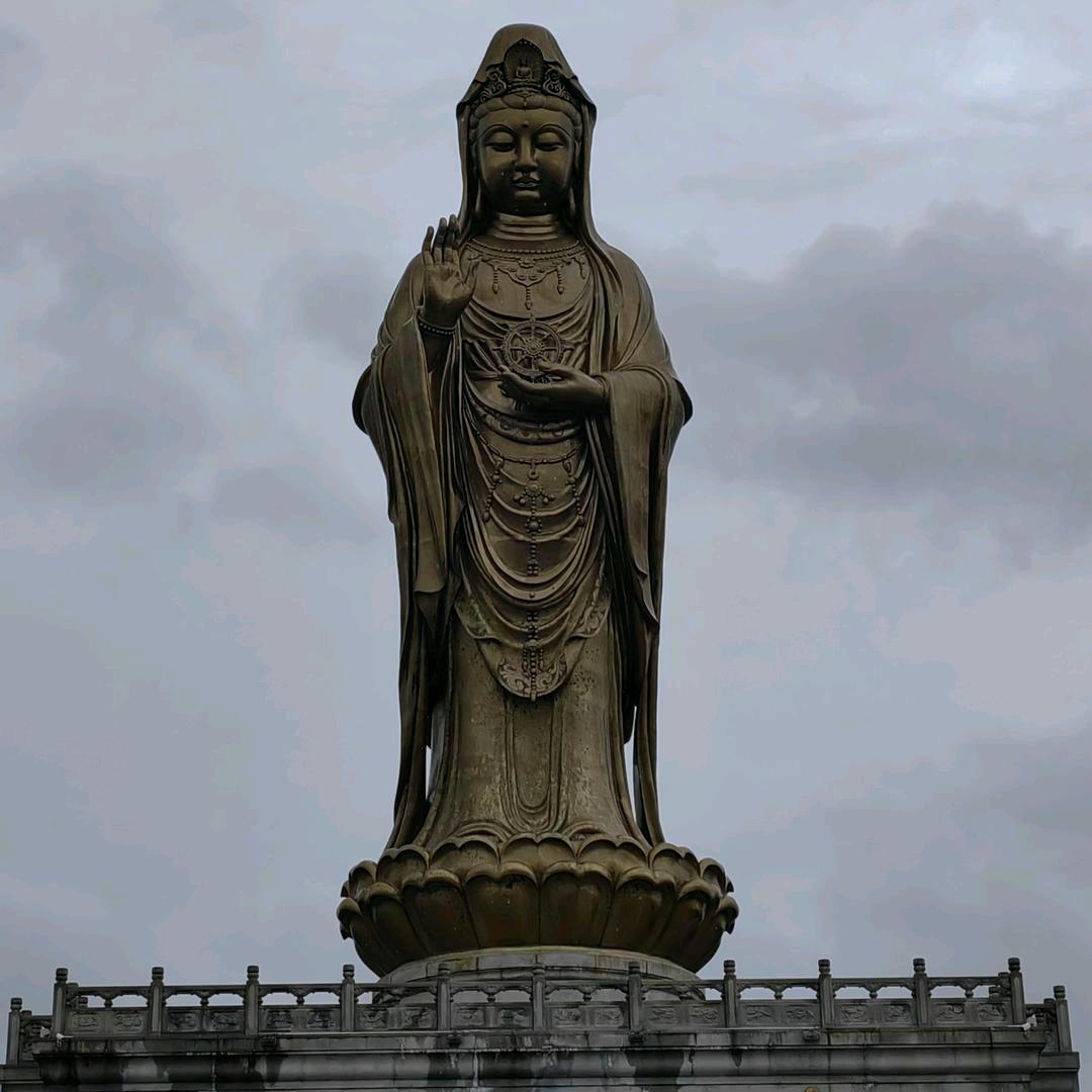 💤叫我傻大妮儿（橱窗有好物）